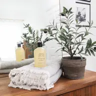 Eucalyptus & Mint Body Wash | 16 oz Plastic