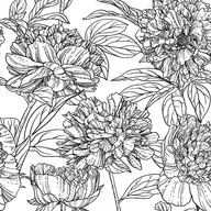 Meditations on Tea: a Coloring Book to Soothe the Soul