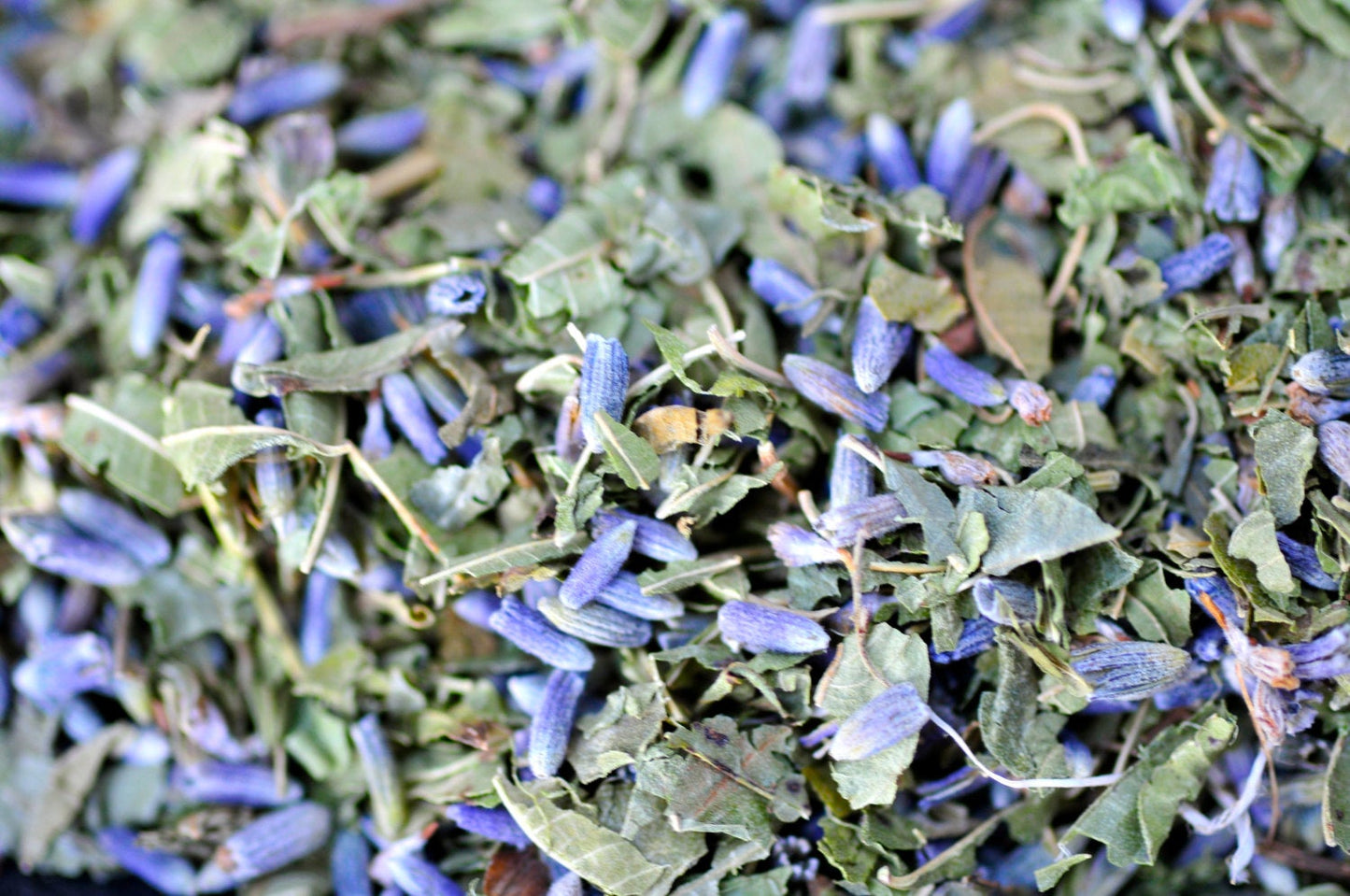 Queen's Favorite herbal infusion | Lavender & Lemon